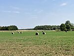 IMG_7285
