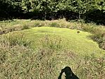 IMG_7332