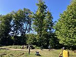 IMG_7334