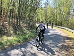 IMG_7345