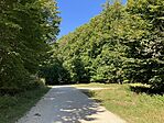 IMG_7353