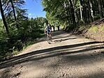 IMG_7362