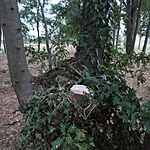 IMG_20240908_192507