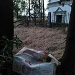 IMG_20240908_192729
