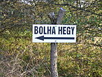 Arra kell menni a hegy felé