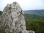 Innen érkeztem: GCKL1