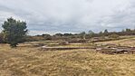 IMG_20240912_142558