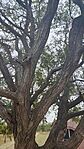 IMG_20240912_144413