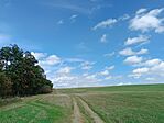 IMG_20240926_134658.jpg