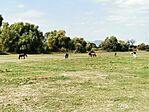 IMG_20240908_143330