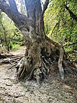 IMG_20240908_144253