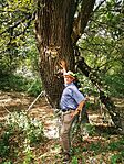 IMG_20240908_145637