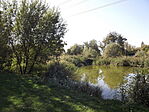 Brenner János Pihenőpark és Büdi-tó-3