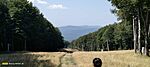 IMG20240901121741