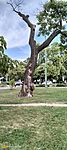 IMG20240701152909