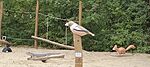 IMG20240927124336