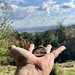 IMG_9732
