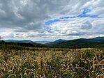IMG_9723