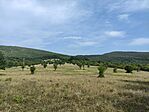 IMG_20240906_095753