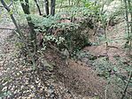 IMG_20240920_101402