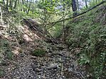 IMG_20240920_102333