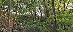IMG_20240904_175737