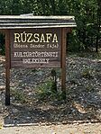 IMG_3635