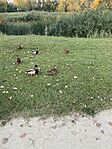 IMG_3795