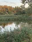 IMG_3799