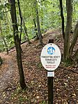 IMG_3772