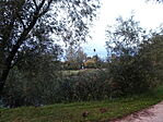 DSC09074