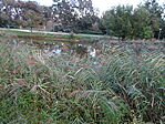 DSC09076