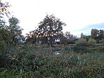 DSC09077