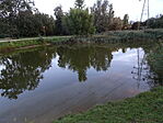 DSC09079