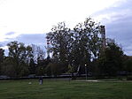 DSC09081