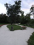 DSC09083