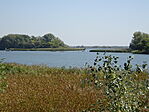 DSC09128