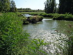 DSC09139