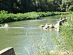 DSC09140