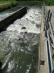DSC09154