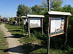 DSC09166