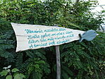 DSC09186