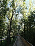 DSC09203