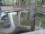 DSC09211