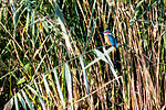 DSC_0841-2048-FB-LC
