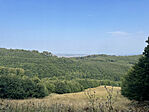 IMG_1535