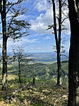 IMG_1581