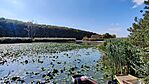 IMG_20240927_143715