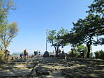 IMG_2011