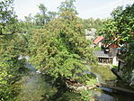 IMG_2141